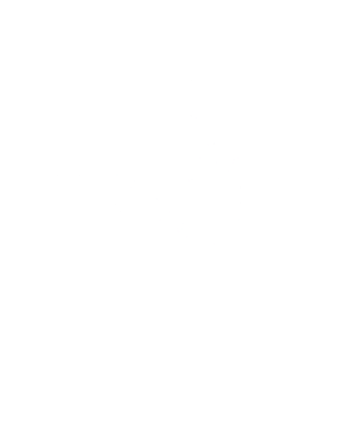 A SOUTH GOSPEL